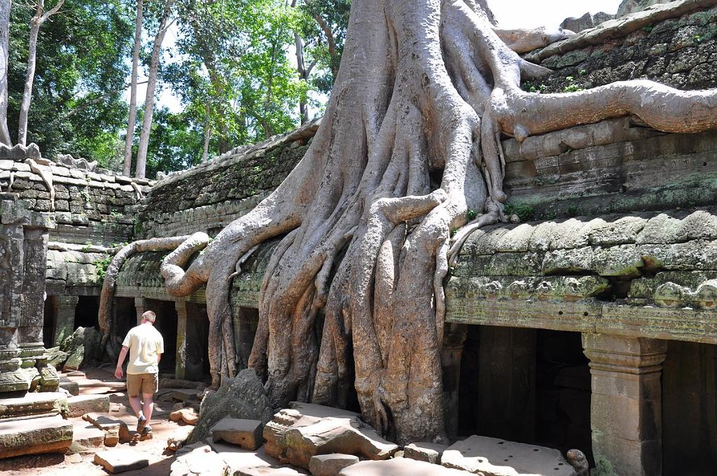 2010-08-14_170.JPG - PeBov 2010