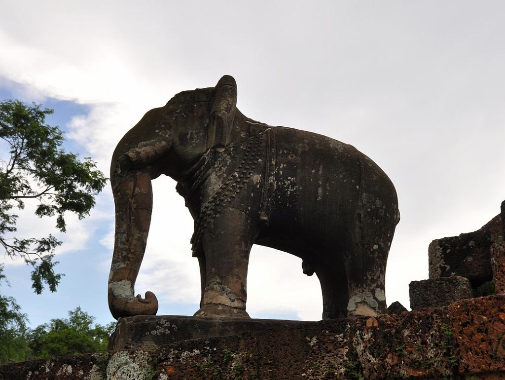 2010-08-15_091.JPG - PeBov 2010