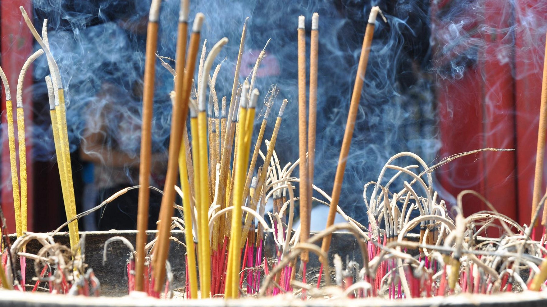 004_2010-07-26_04.JPG - PeBov 2010