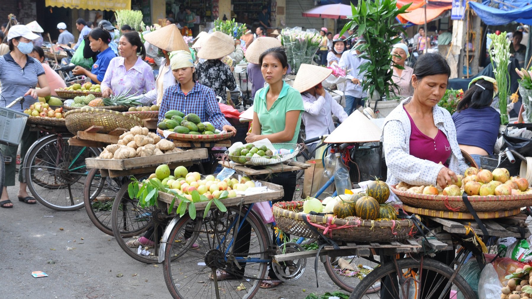 009_2010-08-03_08.JPG - PeBov 2010