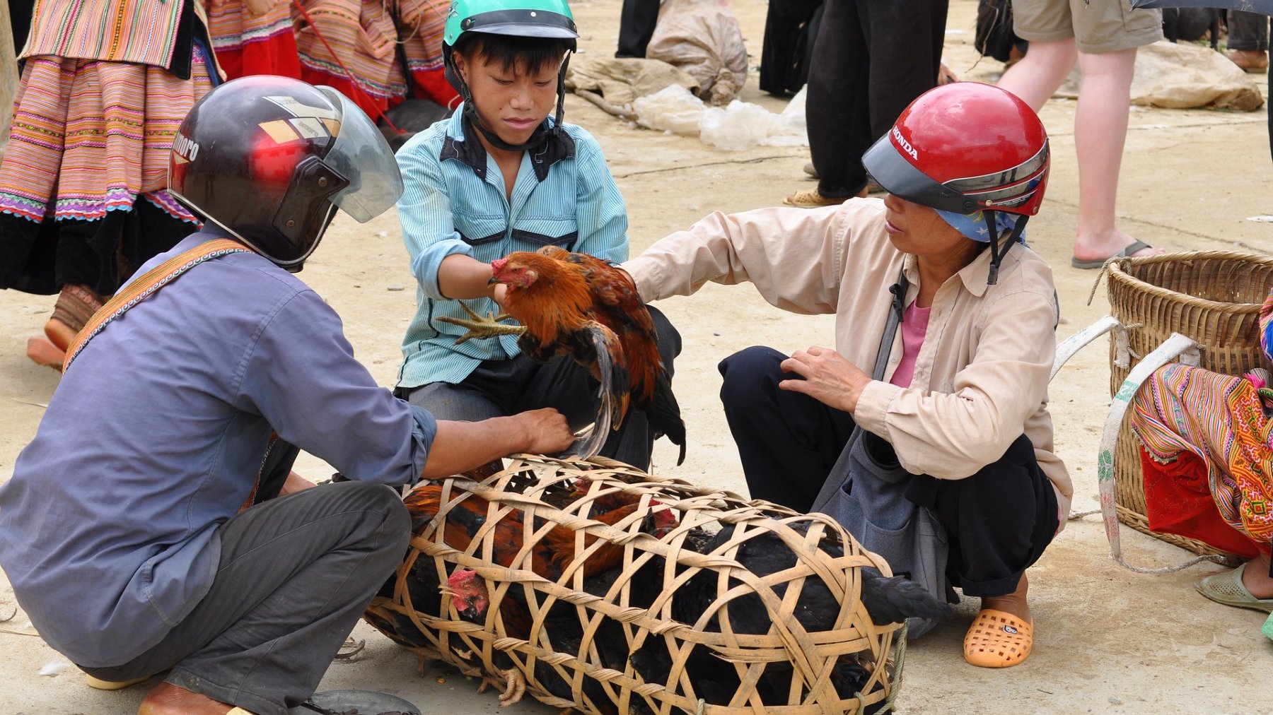 043_2010-08-01_15.JPG - PeBov 2010