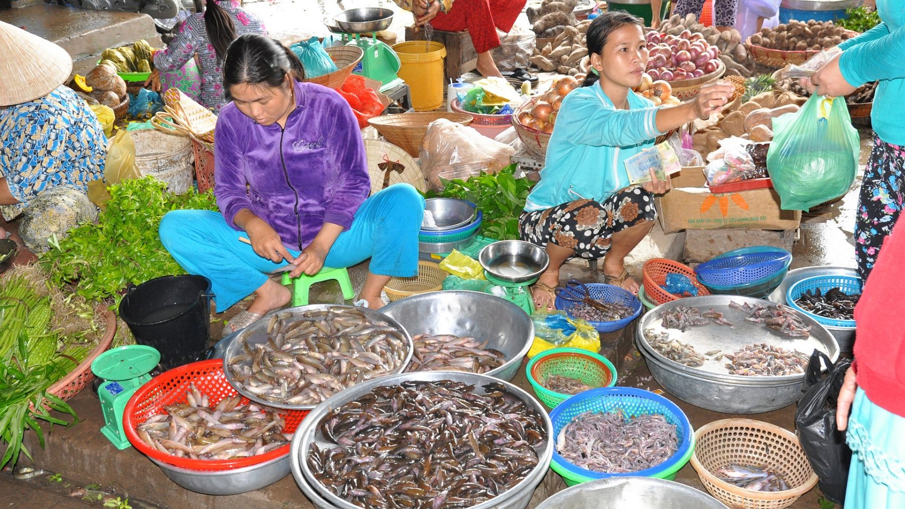 078_2010-08-10_08.JPG - PeBov 2010