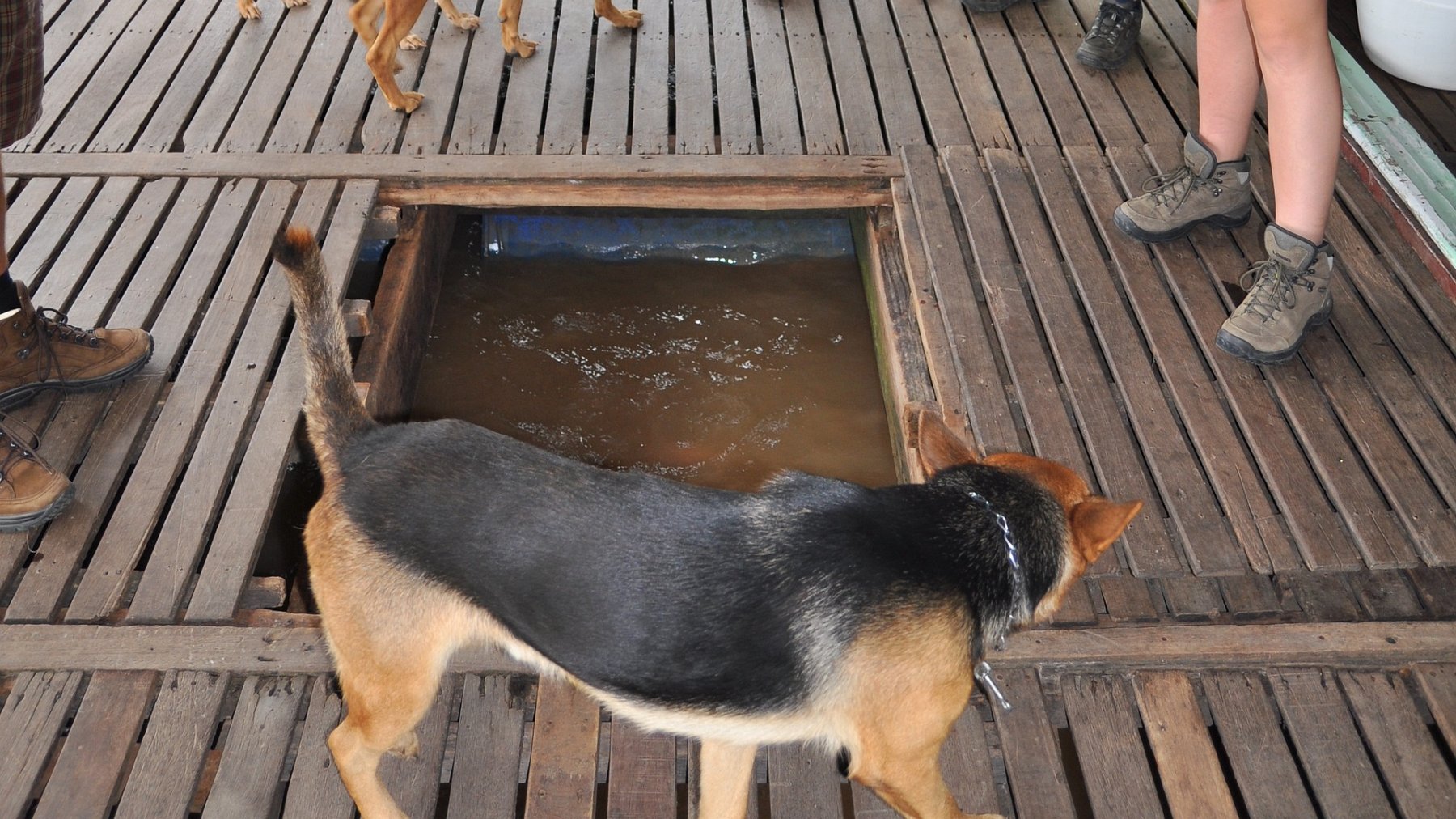 081_2010-08-10_19.JPG - PeBov 2010