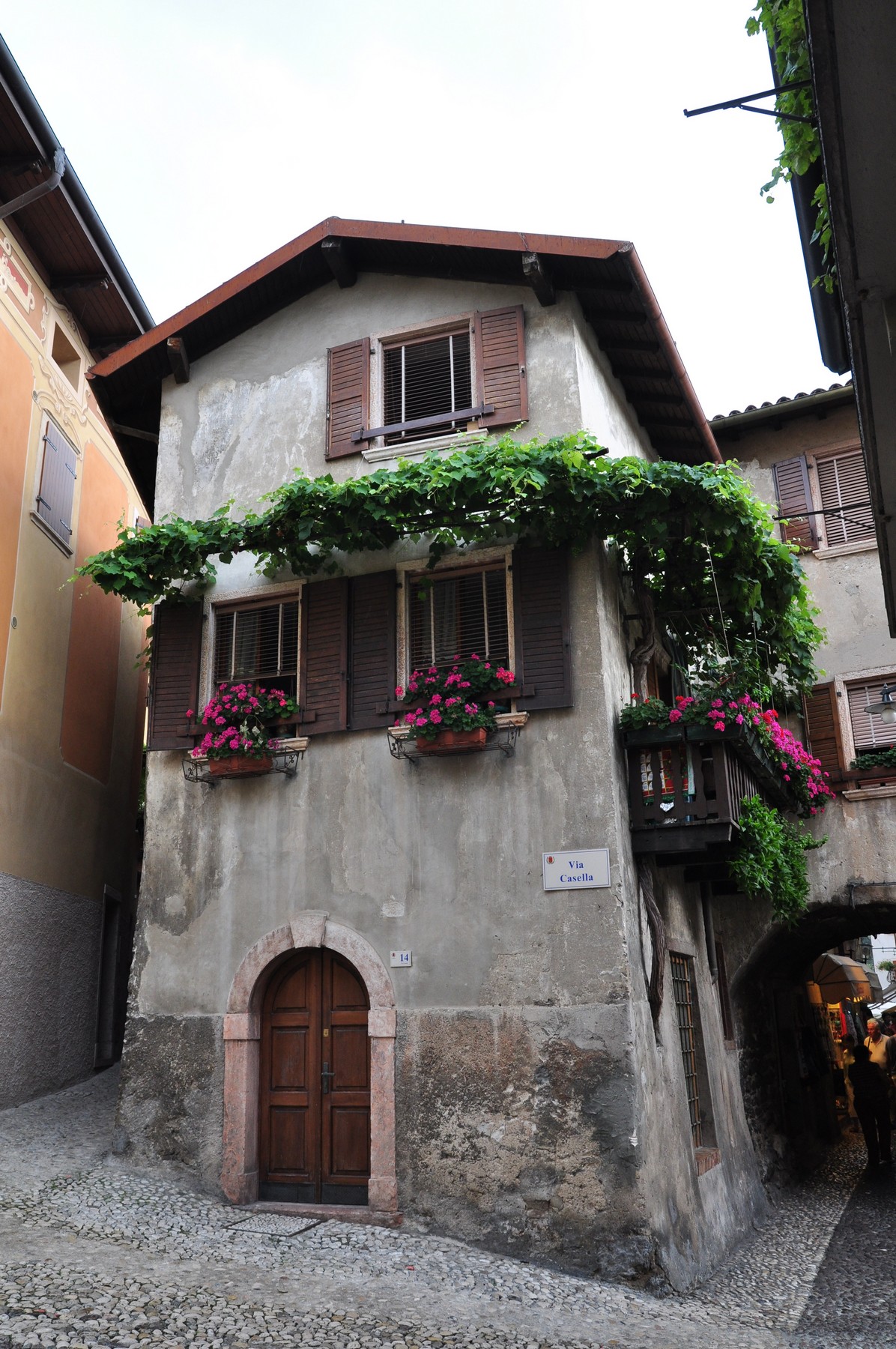 2011-07-13_018.JPG - PeBov 2011