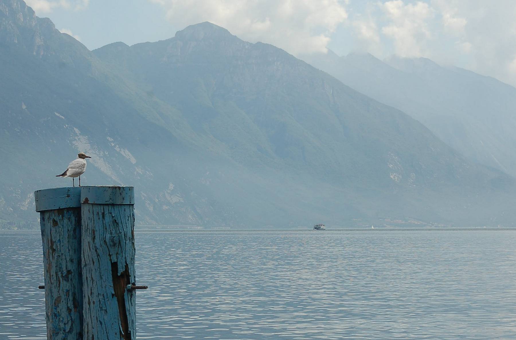 2011-07-14_014.JPG - (c) 2008, Peter Bovendeerd