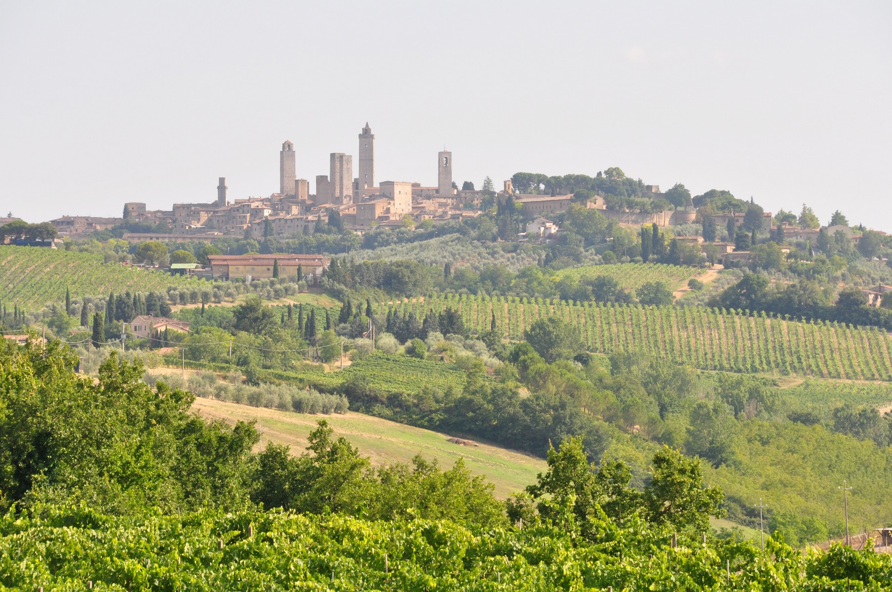 2011-07-17_052.JPG - PeBov 2011