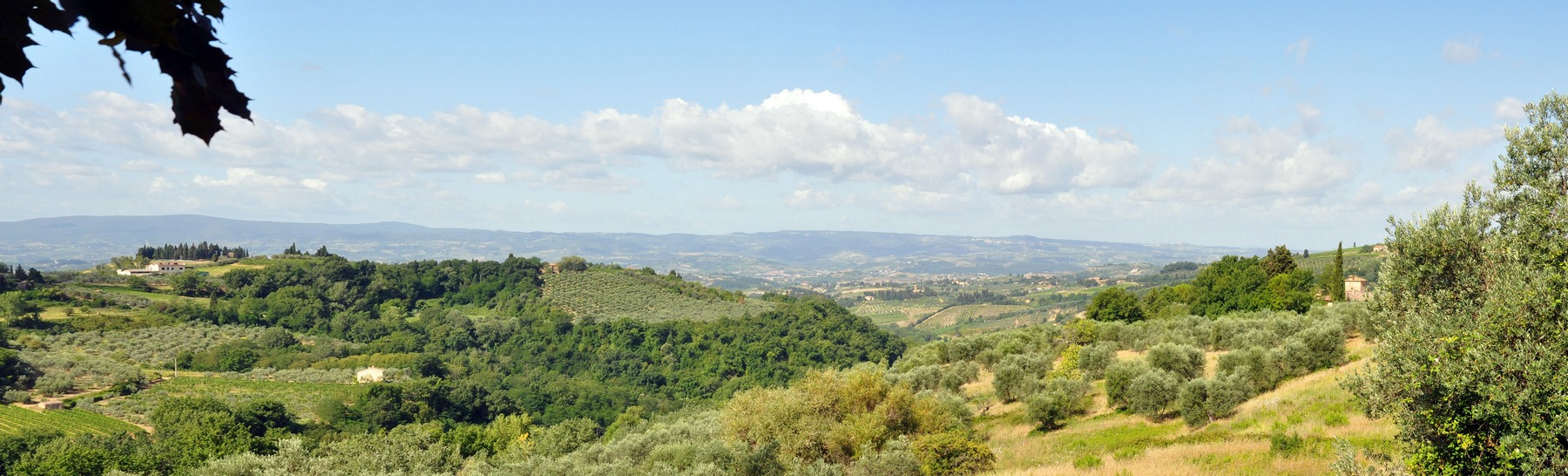 2011-07-22_003-004.jpg - PeBov 2011