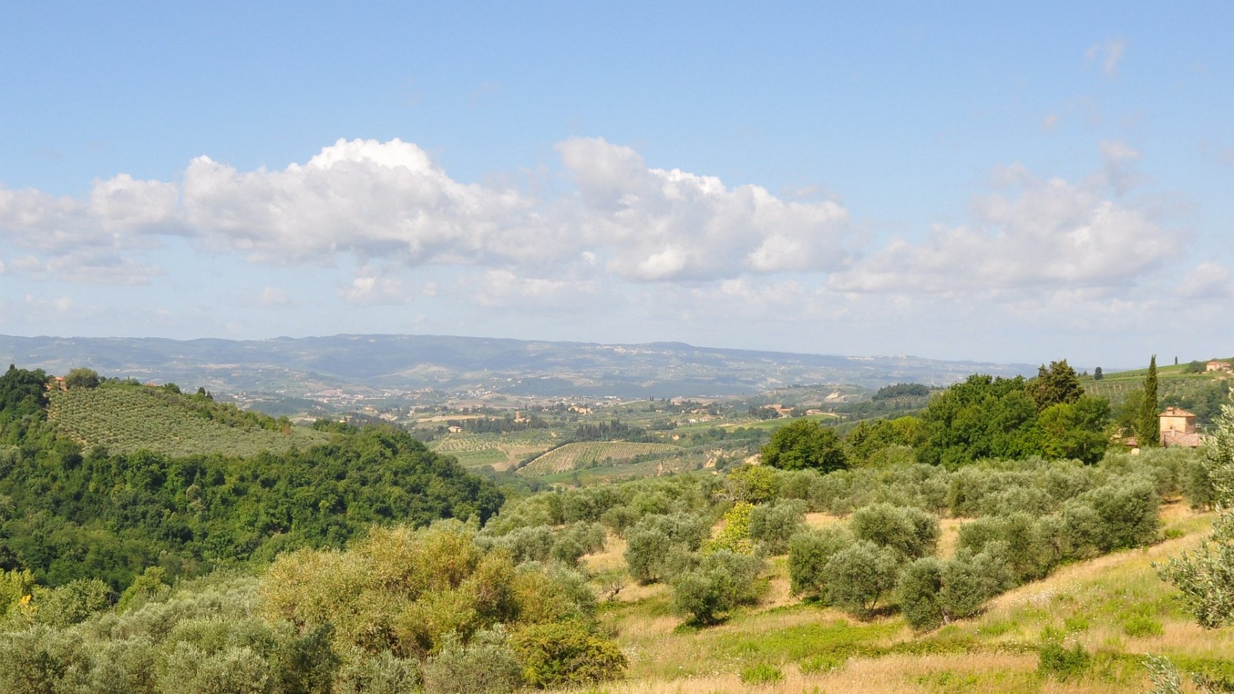 08_2011-07-22_005.JPG - PeBov 2011