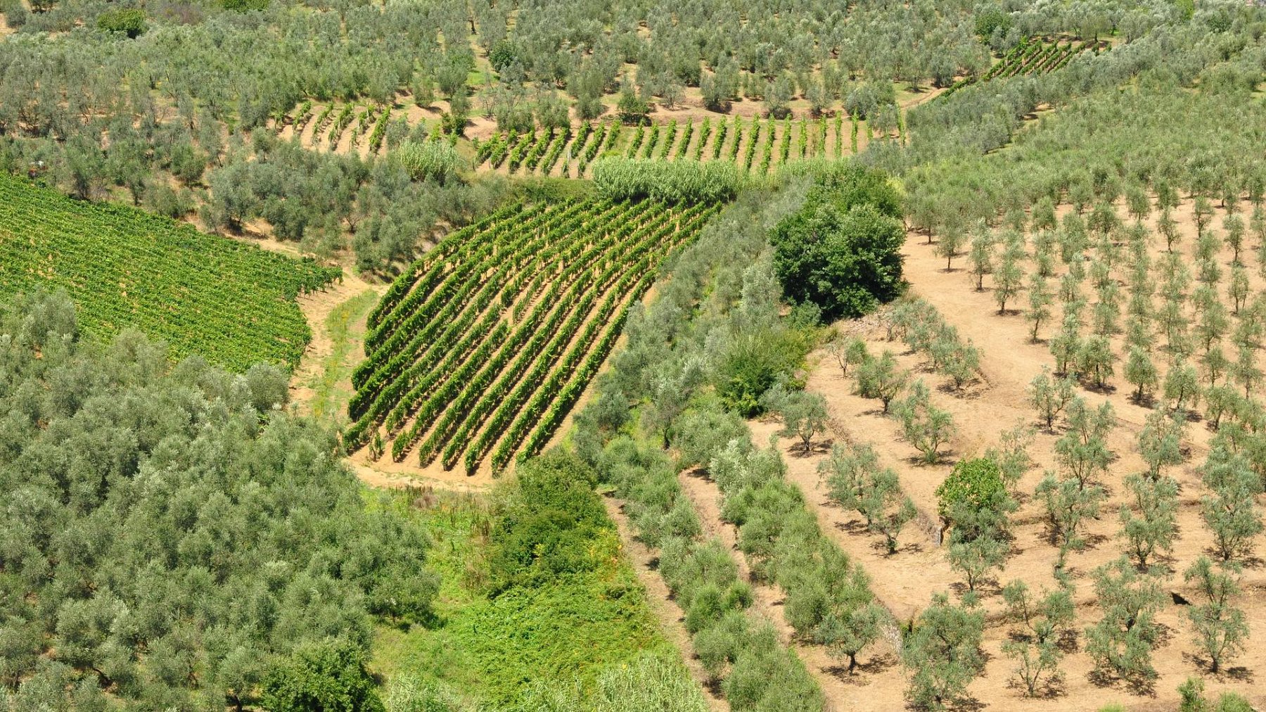 35_2011-07-22_022.JPG - PeBov 2011