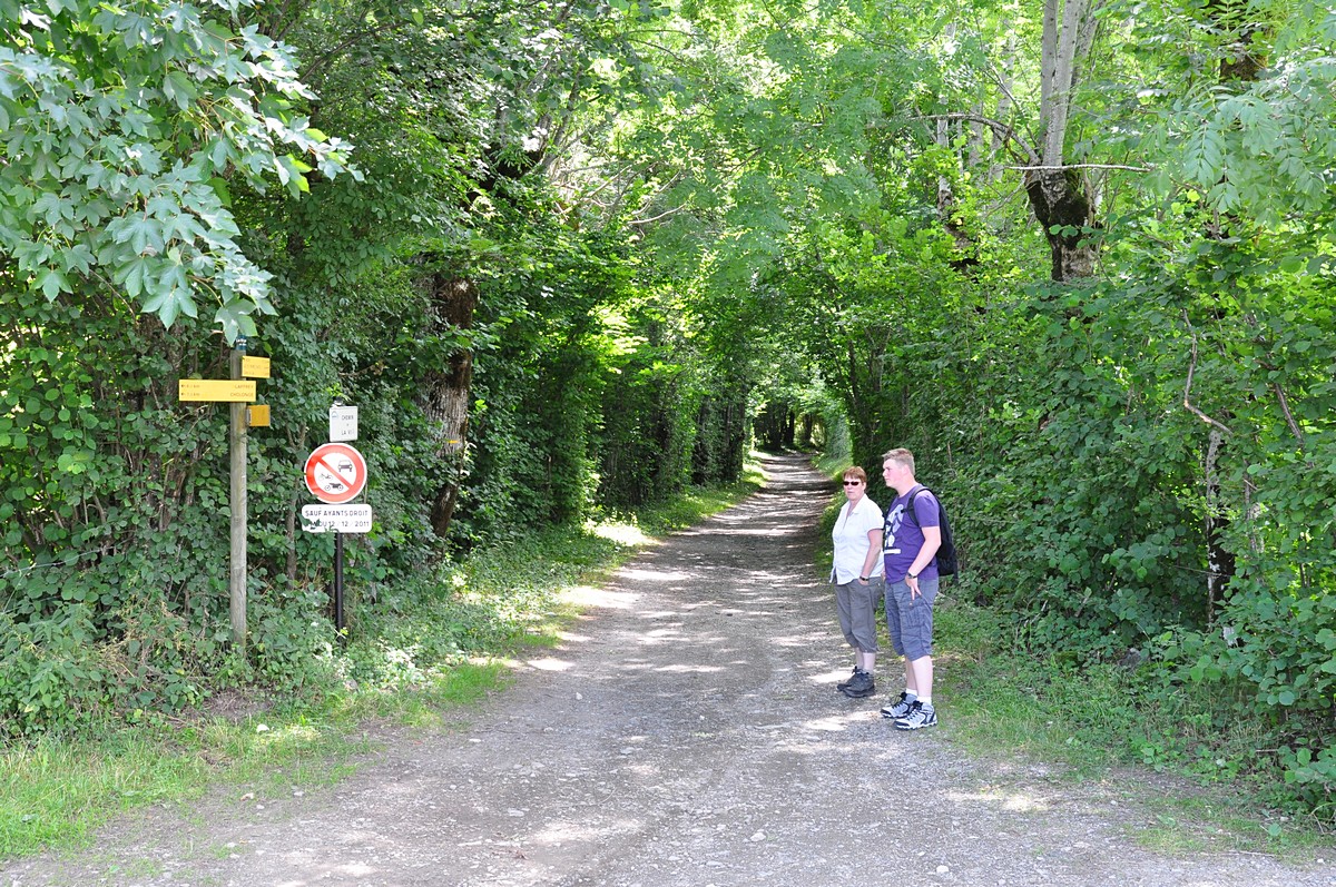 2012-07-15_001.jpg - PeBov 2012