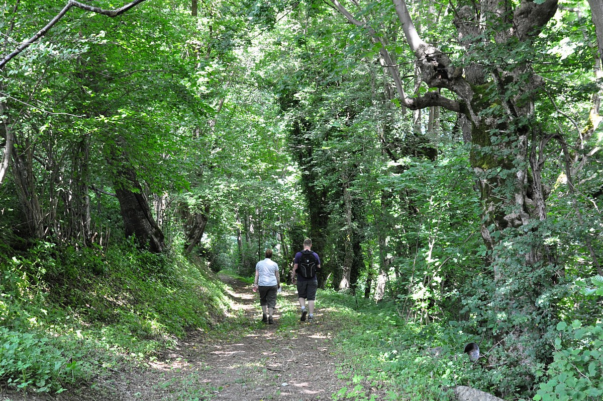 2012-07-15_021.jpg - PeBov 2012