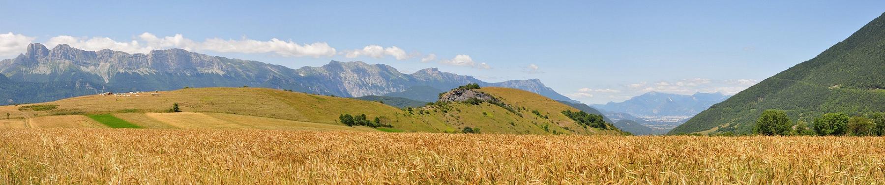 2012-07-16_018-021.jpg - PeBov 2012