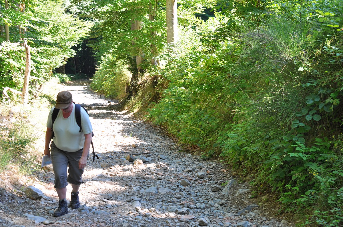 2012-07-17_010.jpg - PeBov 2012