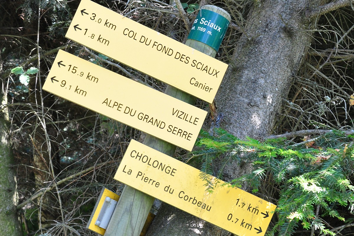 2012-07-17_011.jpg - PeBov 2012