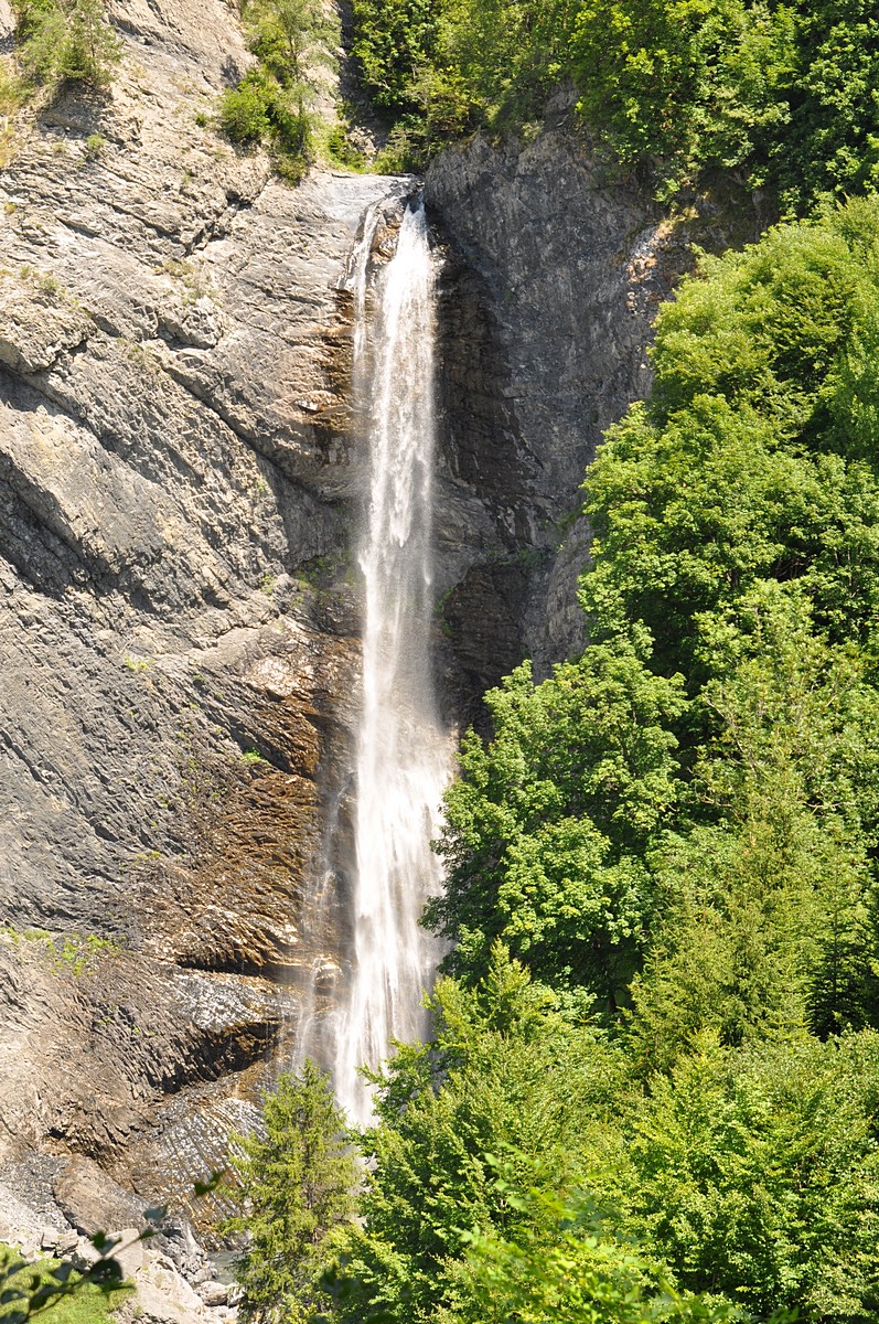 2012-07-19_015.jpg - PeBov 2012