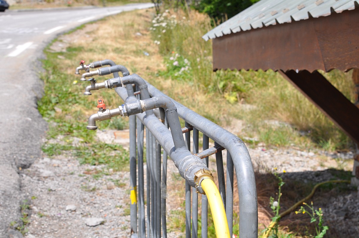 2012-07-19_024.jpg - PeBov 2012