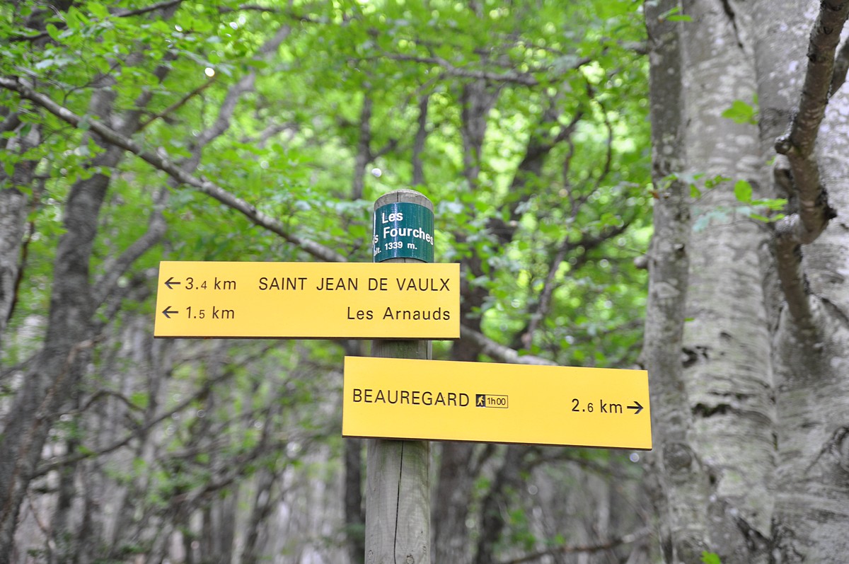 2012-07-20_007.jpg - PeBov 2012