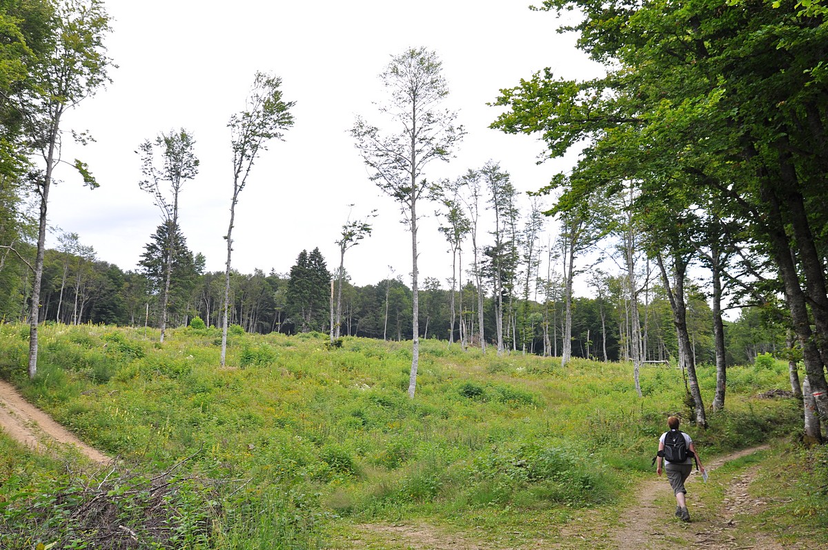 2012-07-20_008.jpg - PeBov 2012