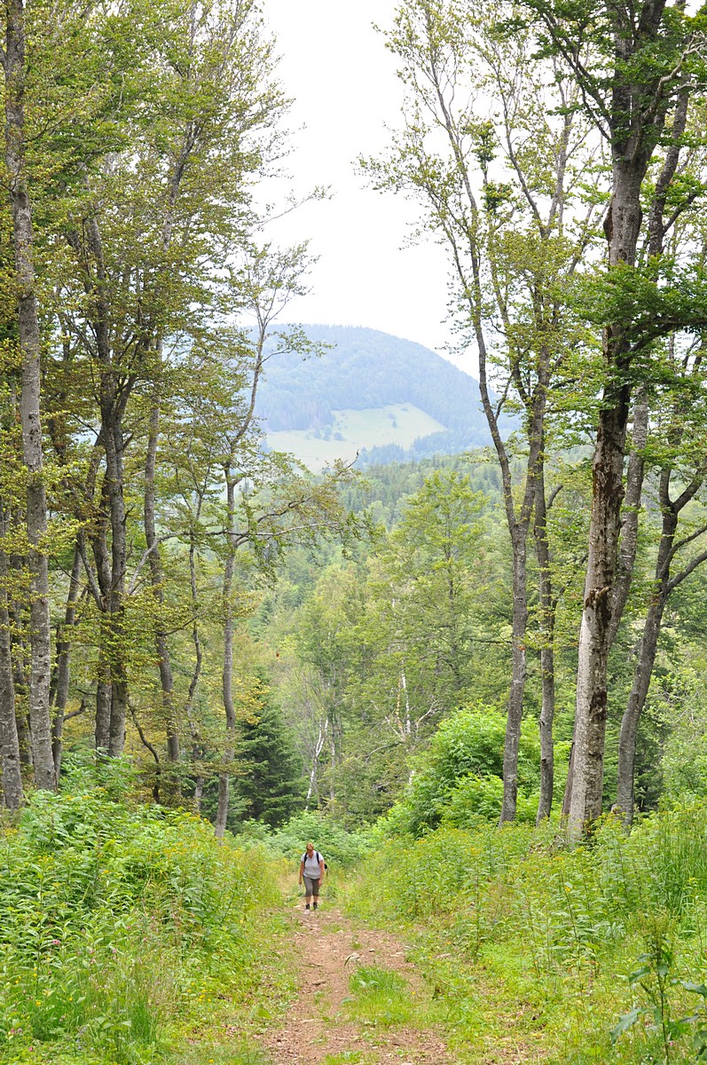 2012-07-20_012.jpg - PeBov 2012