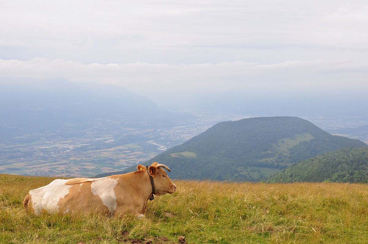 2012-07-20_031.jpg - PeBov 2012