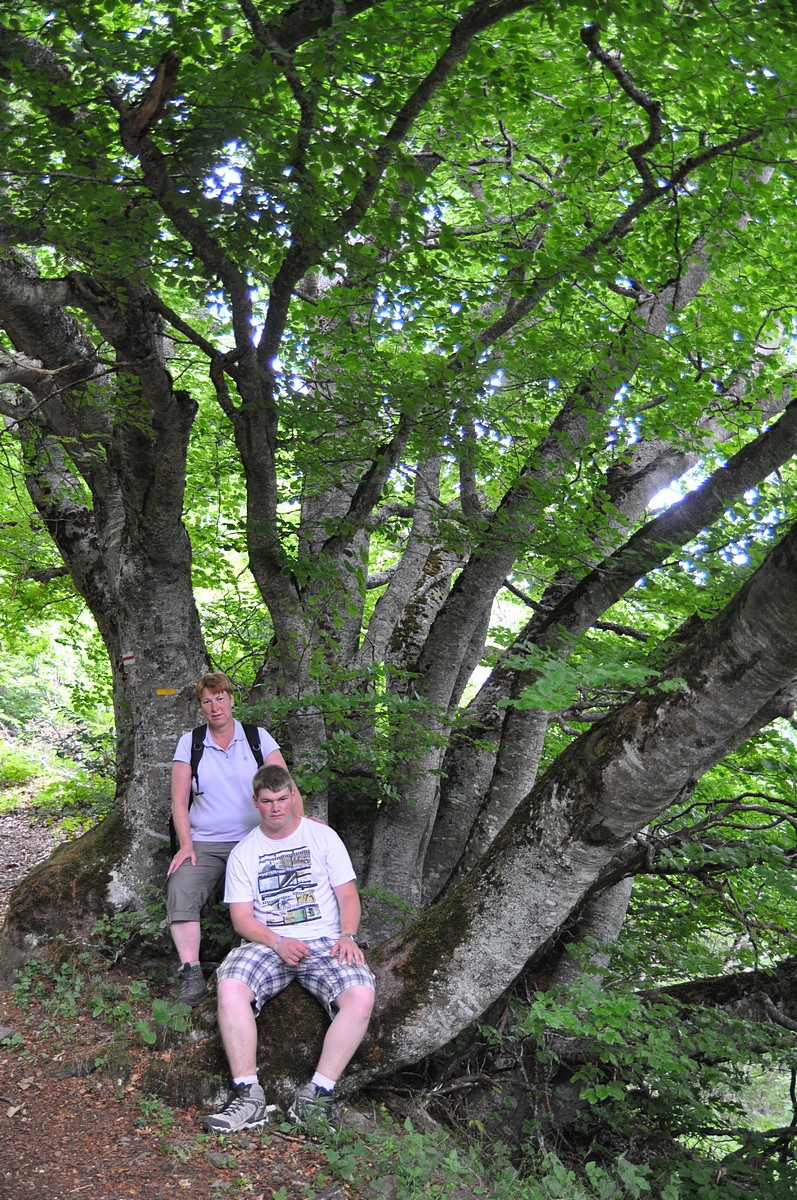 2012-07-20_079.jpg - PeBov 2012