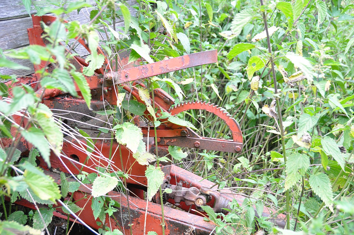 2012-07-20_081.jpg - PeBov 2012