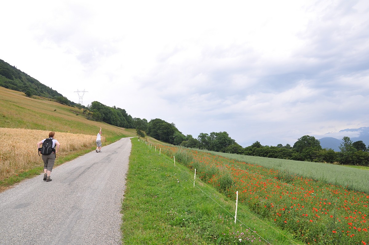 2012-07-20_085.jpg - PeBov 2012