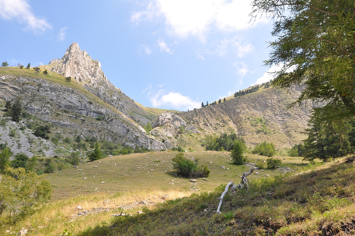 2012-07-25_005.jpg - PeBov 2012