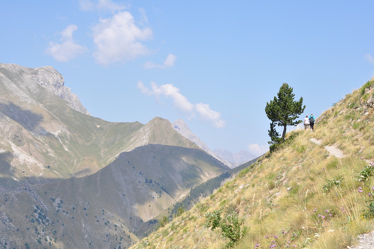 2012-07-25_015.jpg - PeBov 2012