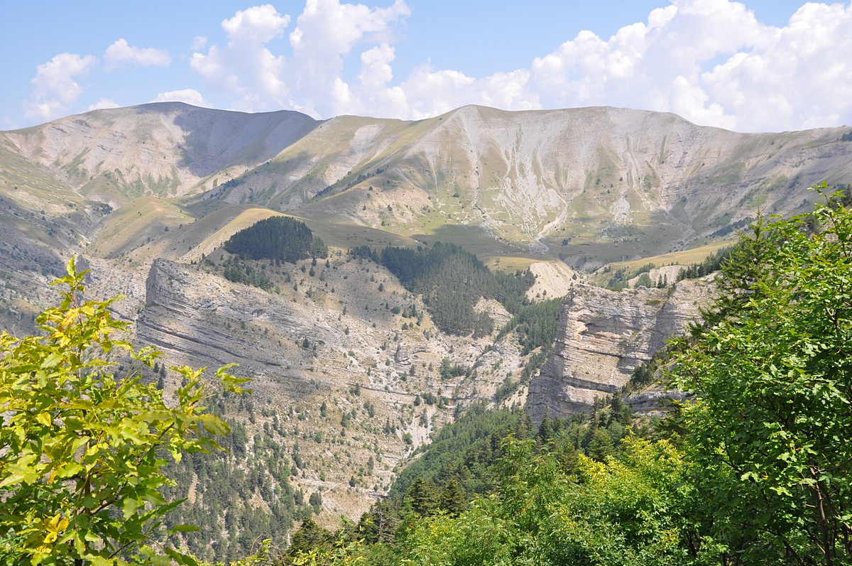 2012-07-25_030.jpg - PeBov 2012