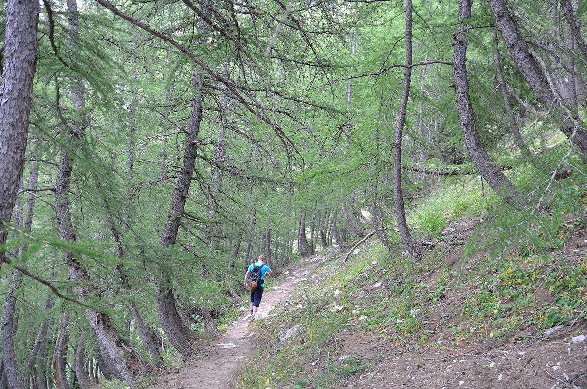 2012-07-25_044.jpg - PeBov 2012