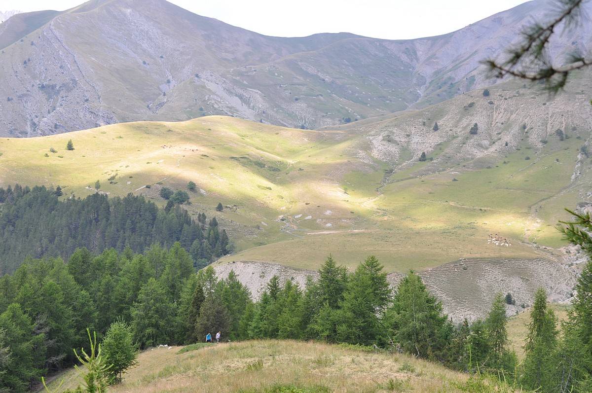 2012-07-25_049.jpg - PeBov 2012