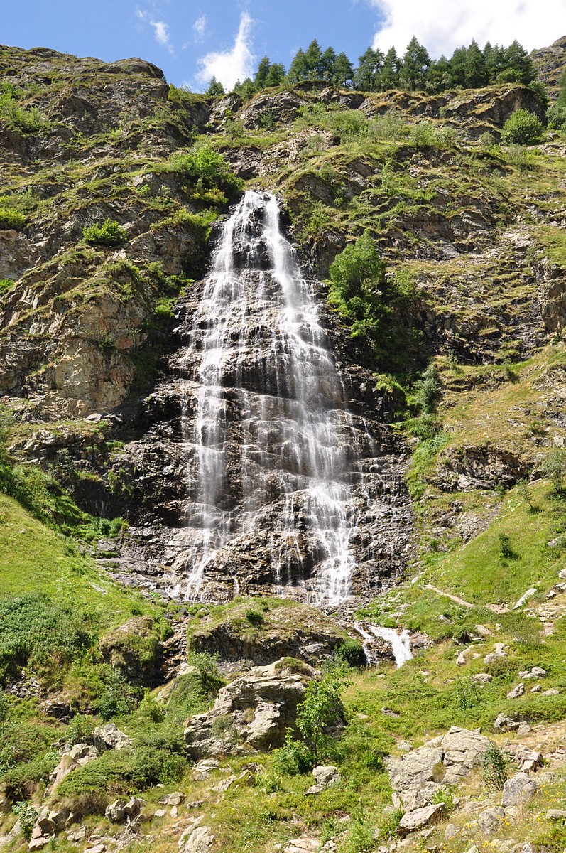 2012-07-29_005.jpg - PeBov 2012