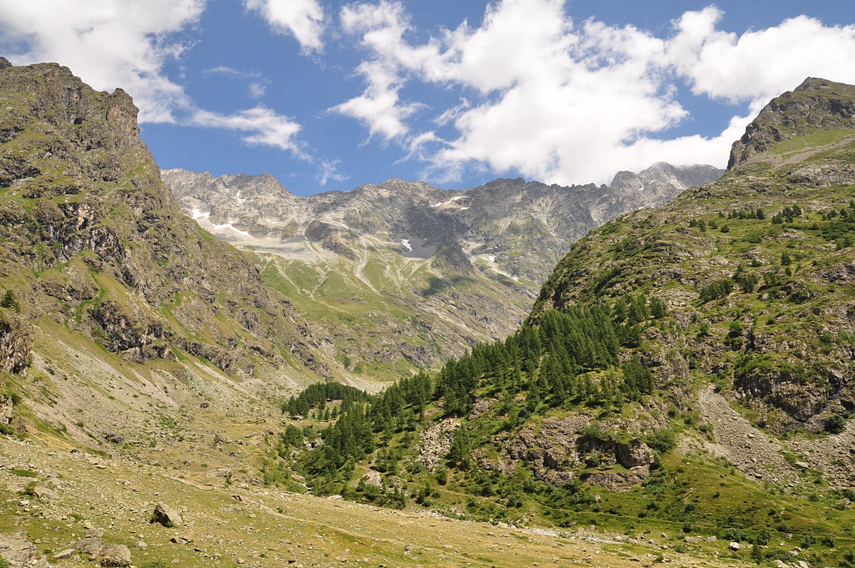 2012-07-29_011.jpg - PeBov 2012