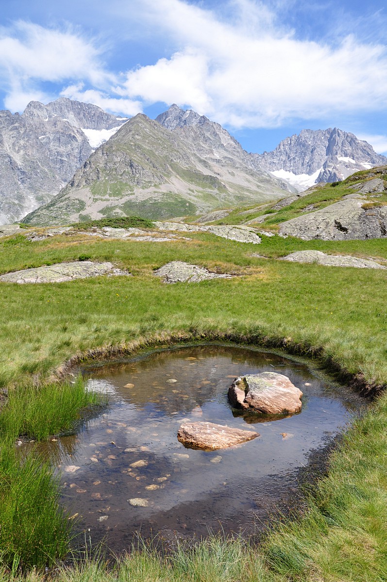 2012-07-29_050.jpg - PeBov 2012