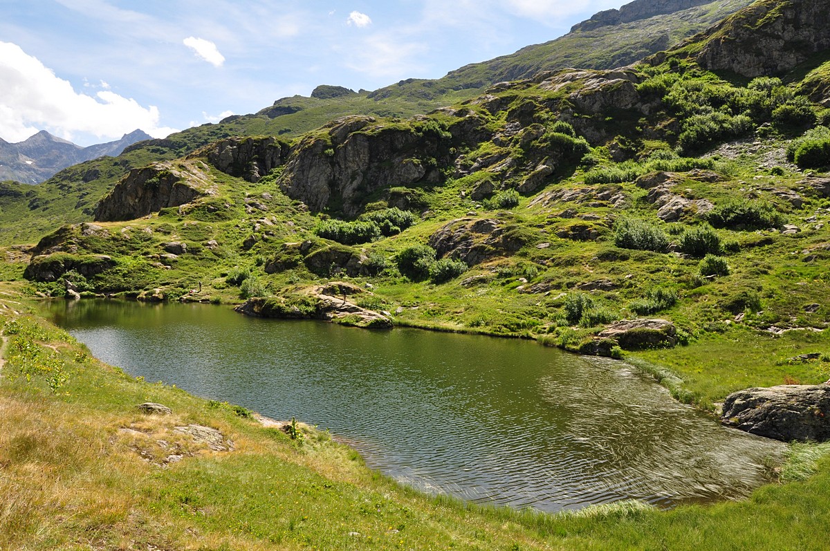 2012-07-29_070.jpg - PeBov 2012