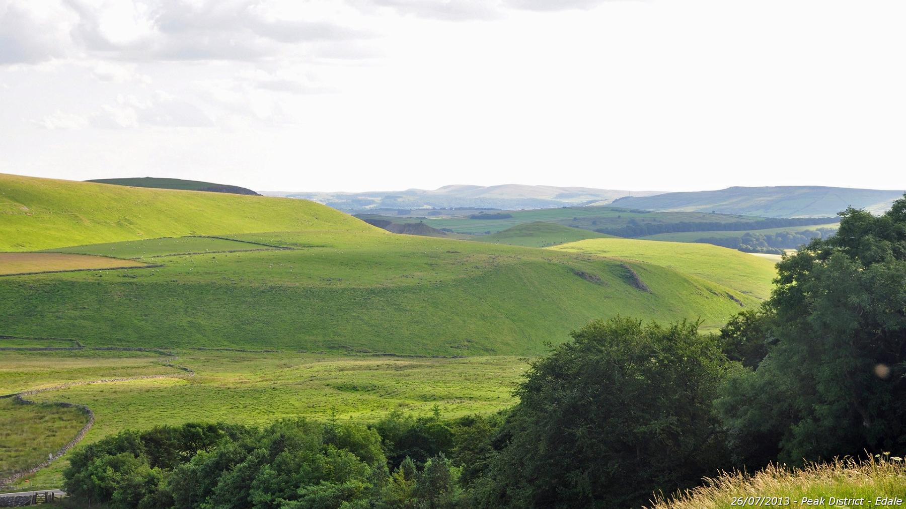 2013-07-26_076.jpg - PeBov 2013