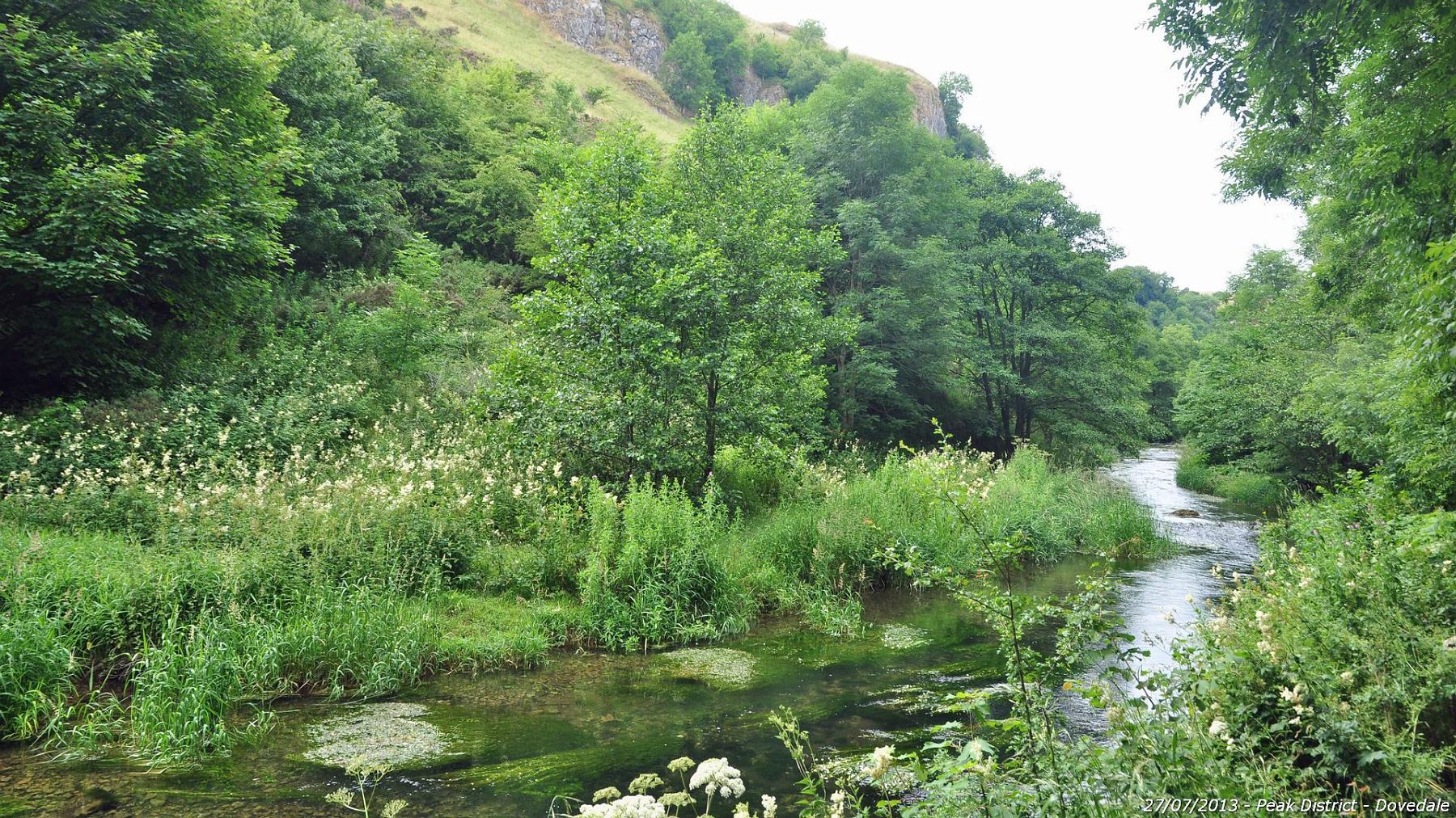 2013-07-27_023.jpg - PeBov 2013