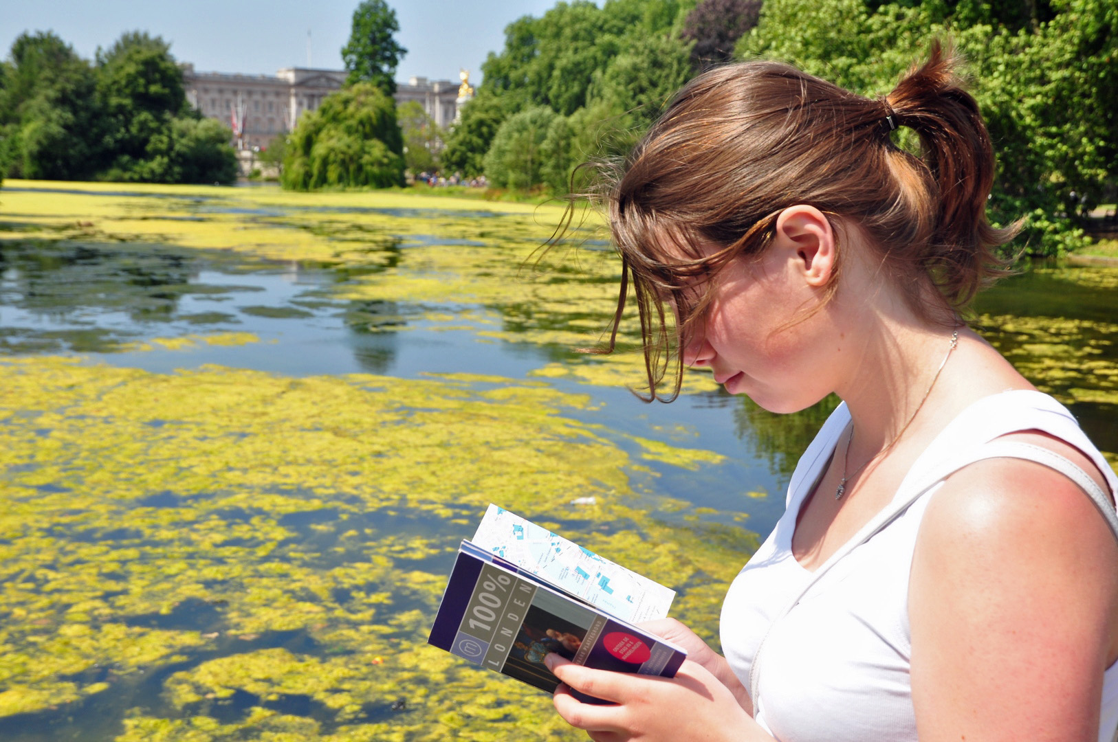 2013-07-11_027.JPG - PeBov 2012