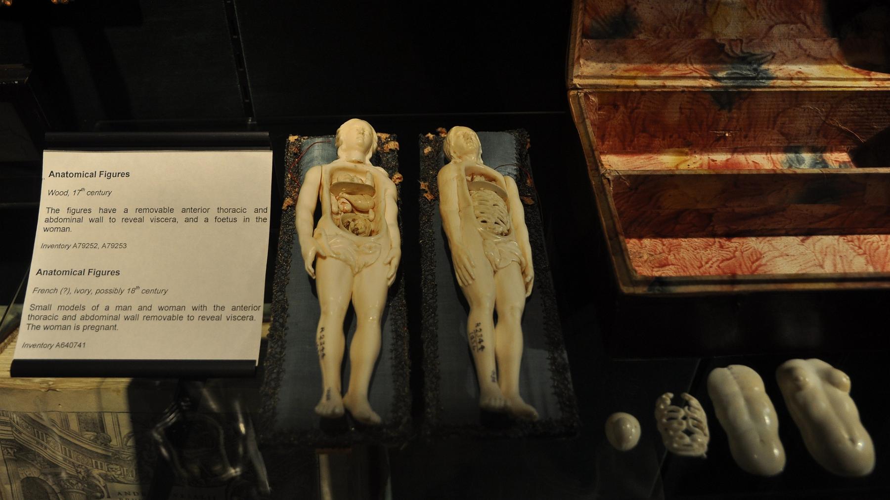 2013-07-15_014.JPG - PeBov 2013