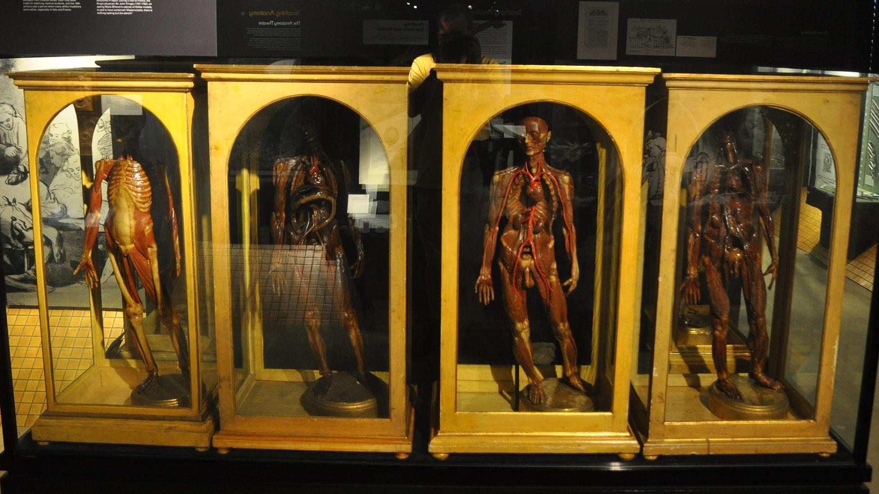 2013-07-15_019.JPG - PeBov 2013