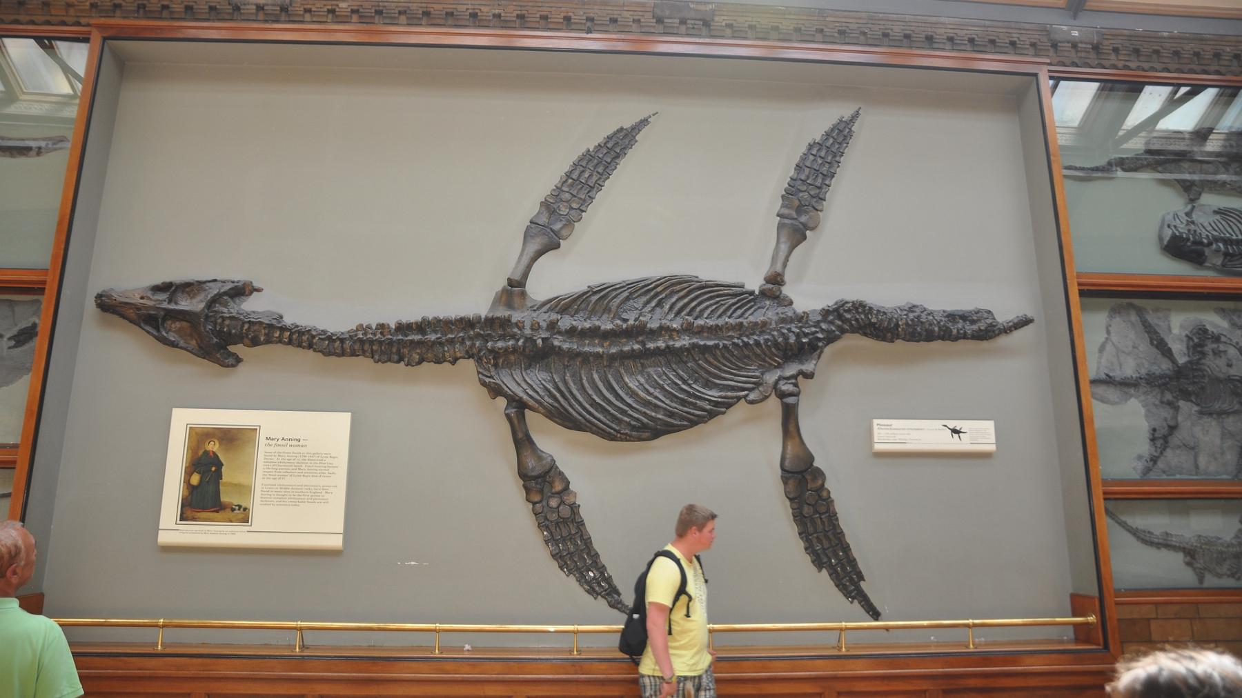 2013-07-15_049.JPG - PeBov 2013