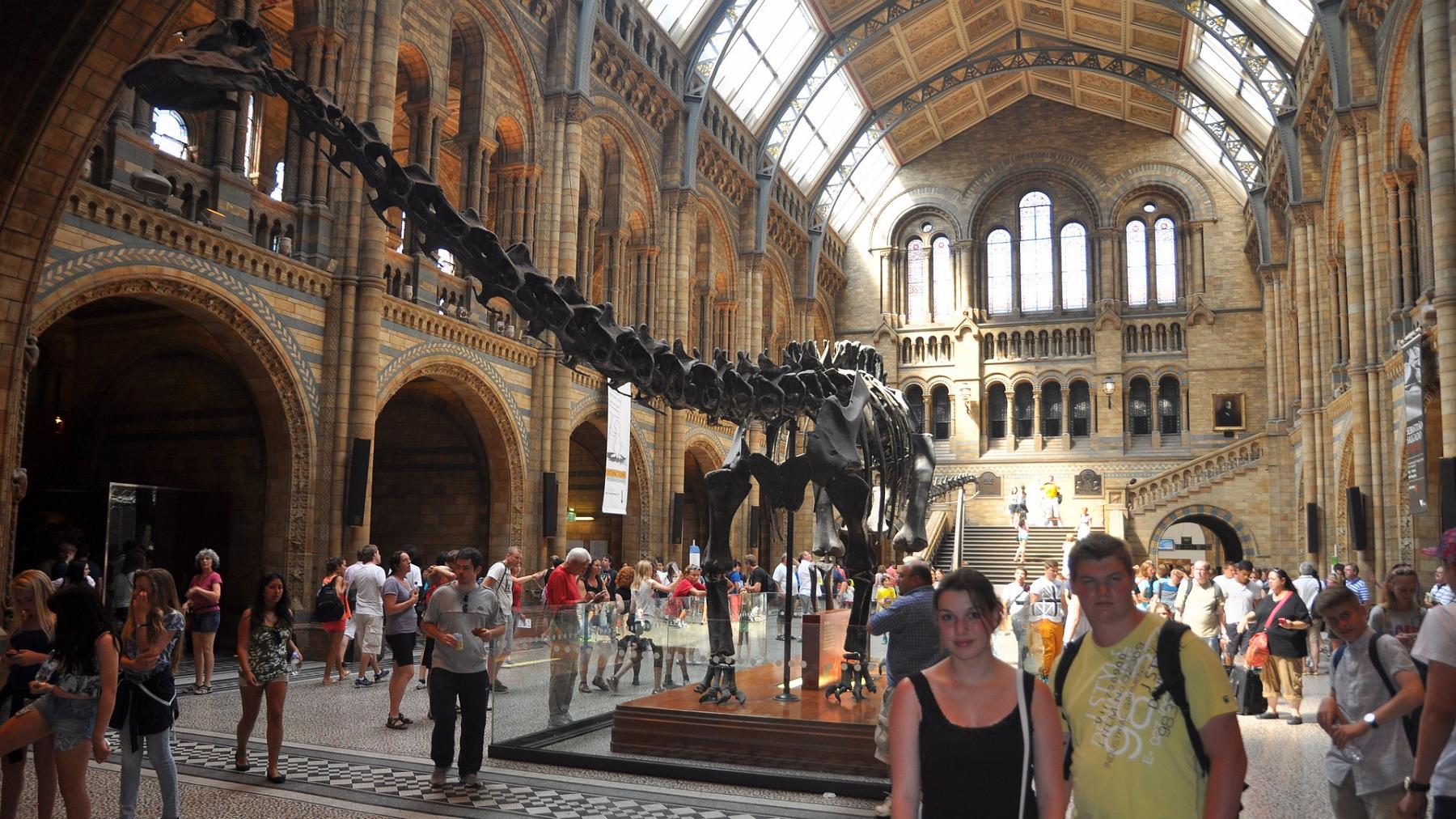 2013-07-15_050.JPG - PeBov 2013