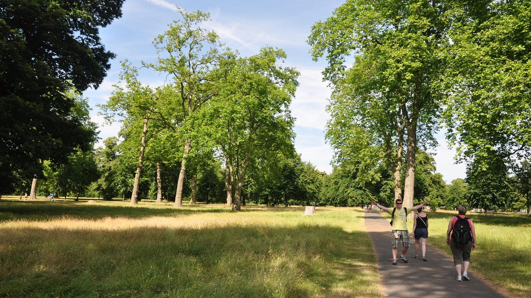 2013-07-15_070.JPG - PeBov 2013