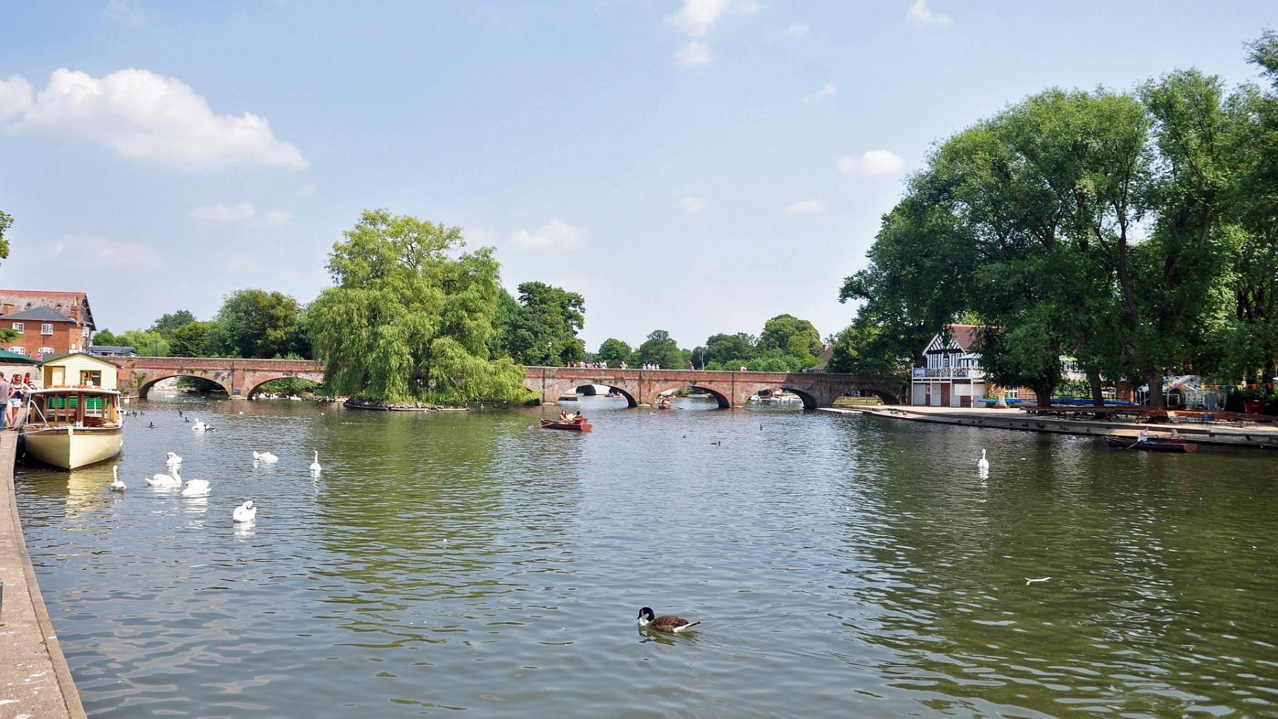 2013-07-18_042.JPG - PeBov 2013