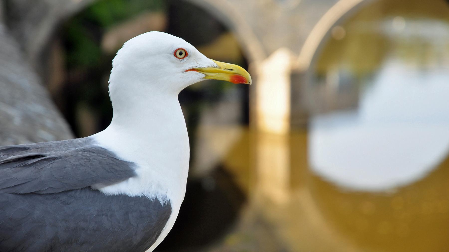 2013-07-19_040.JPG - PeBov 2013