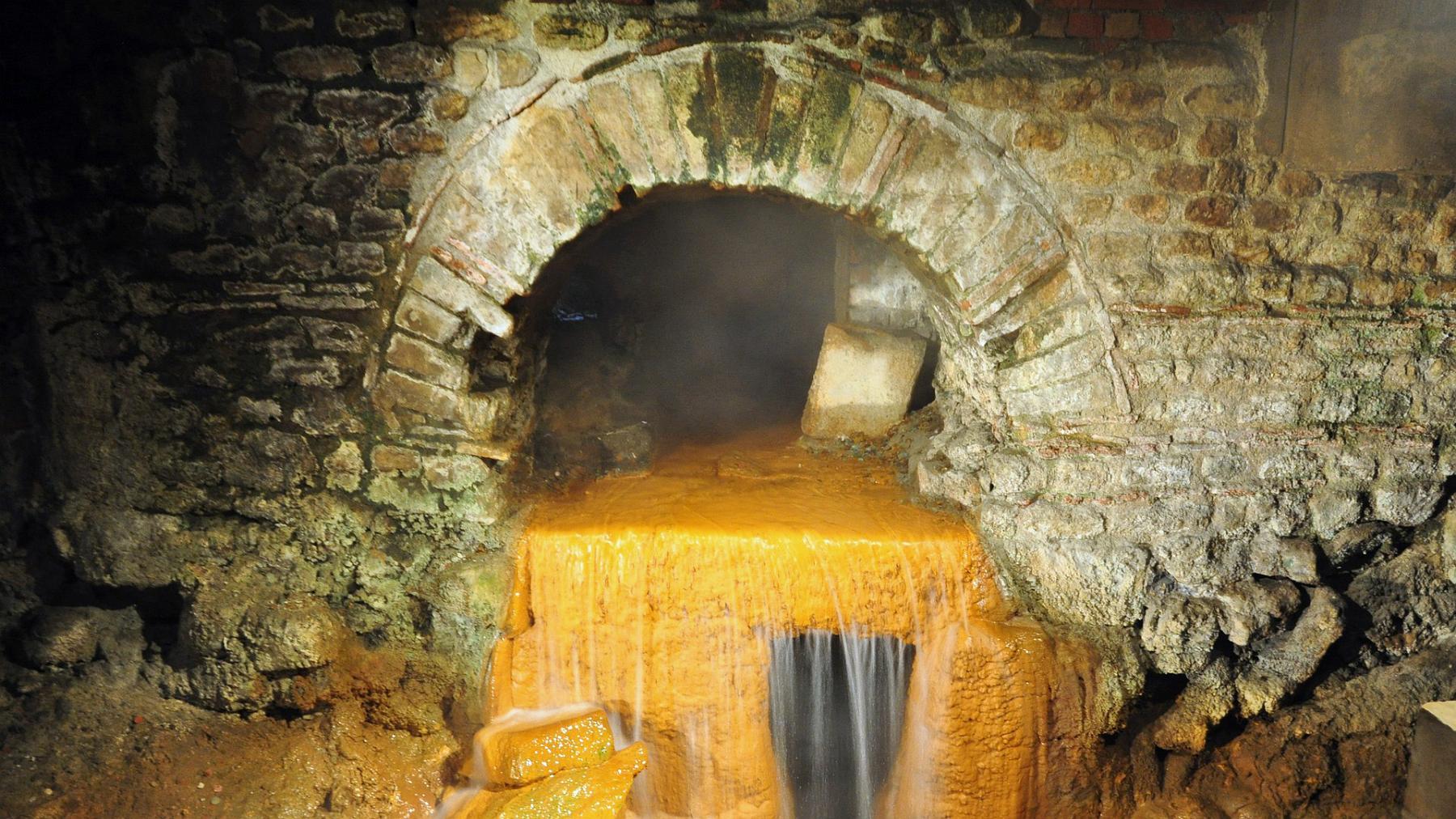 2013-07-19_089.JPG - PeBov 2013