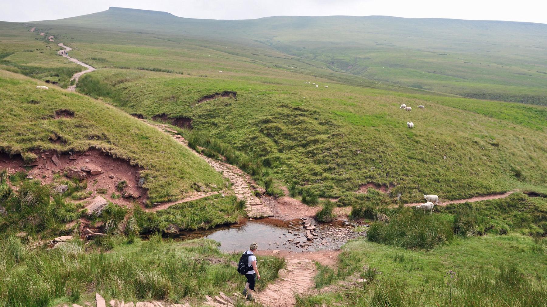 2013-07-22_011.JPG - PeBov 2013