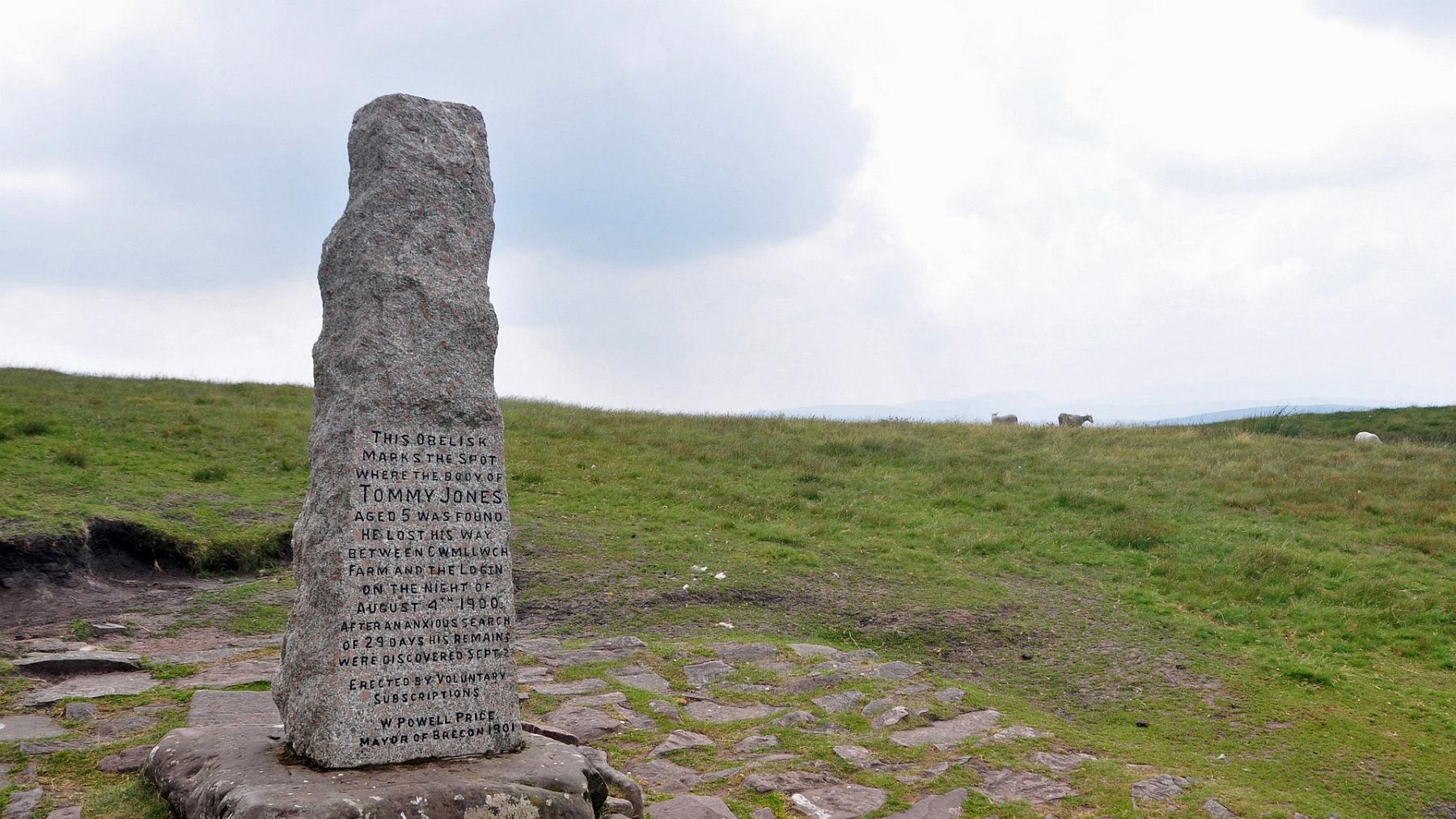 2013-07-22_058.JPG - PeBov 2013