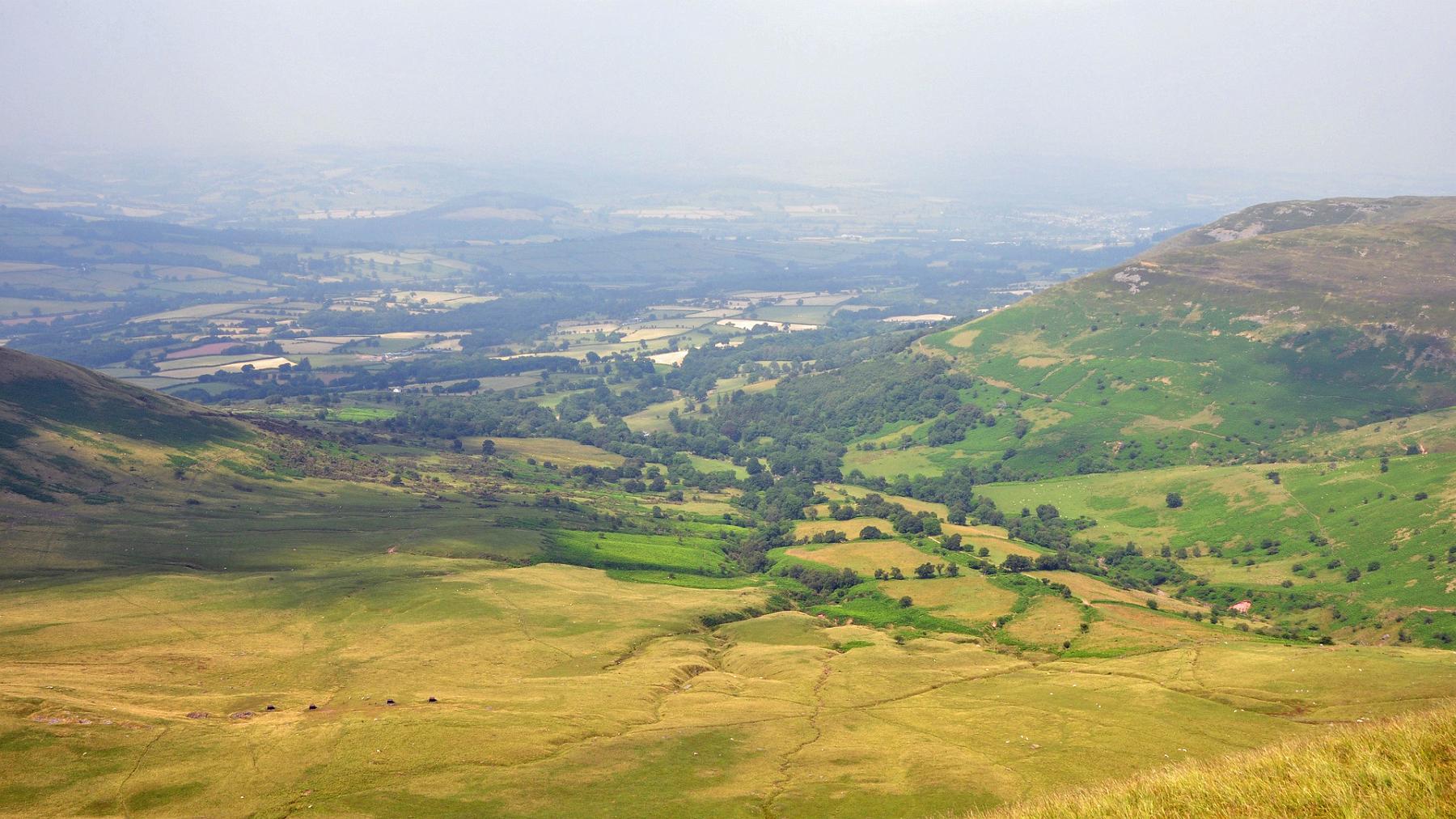 2013-07-22_069.JPG - PeBov 2013